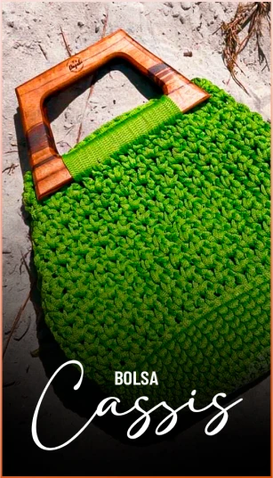 capa_aula_bolsa_cassis_1x